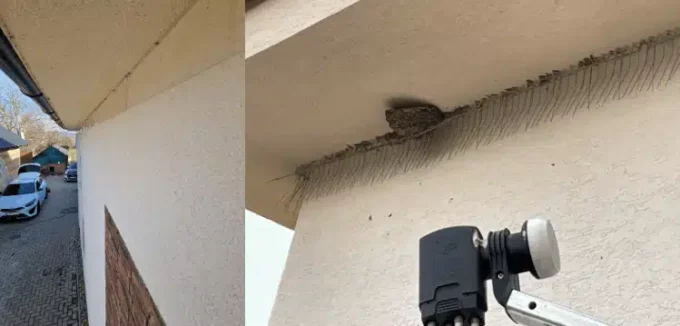 Hroty proti lastovičkám W5-R